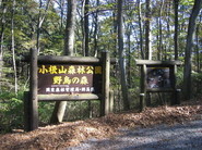 小根山森林公園の画像1