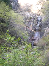 麻苧の滝の画像1