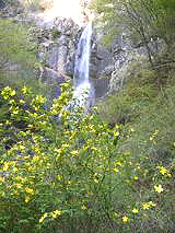 麻苧の滝の画像2