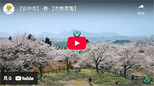 動画のサムネイル1