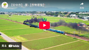 動画のサムネイル1