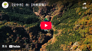 動画のサムネイル1