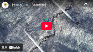 動画のサムネイル1