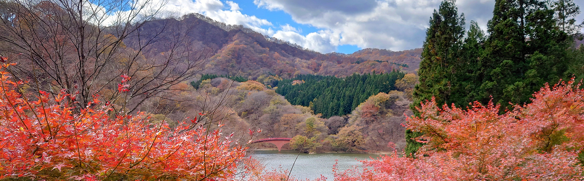 メインビジュアル＿碓氷湖　紅葉