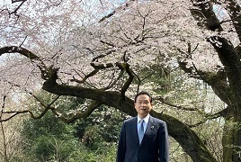 3月24日細野彼岸桜