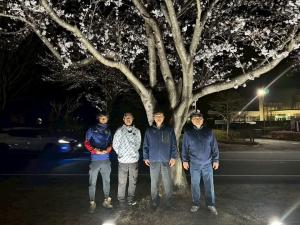 ４月６日ANNAKA SAKURA STREET ライトアップ