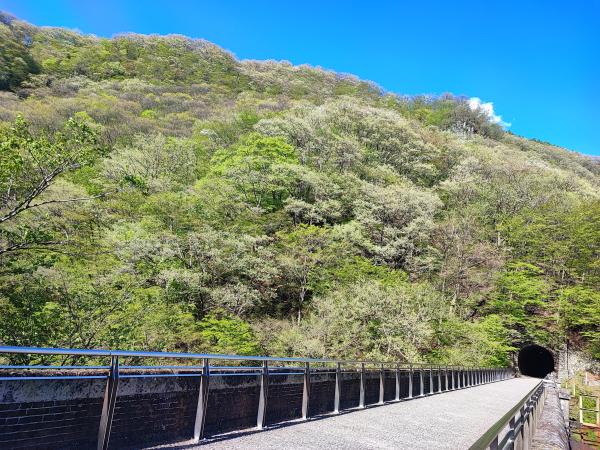 めがね橋上からトンネルを眺める（松井田町坂本）