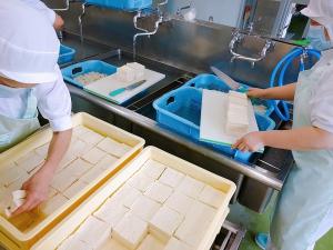 本日の豆腐373丁