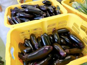 安中産のなす