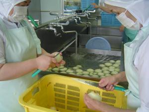 たまねぎの根をとる