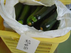 ズッキーニが納品される