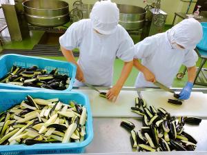 安中産のなすを使って