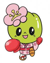 こうめちゃんボクシング
