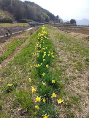 柳瀬川