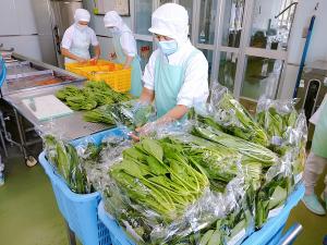群馬県産のほうれん草