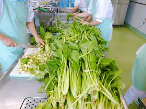 安中総合学園の大きな小松菜