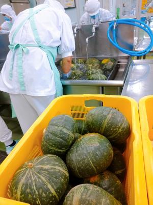 かぼちゃ57㎏
