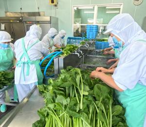 小松菜は安総から