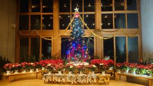 クリスマスツリ−の画像