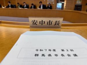 11月11日群馬県市長会議