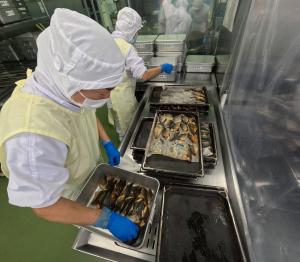 サバを配食する