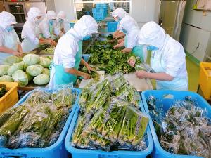 群馬県産のほうれん草です