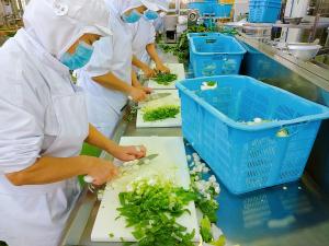 安中産の上州ねぎ