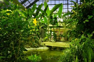 夜間の園内の画像2