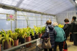 配布の様子の画像