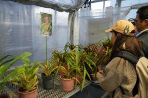 配布の様子の画像2