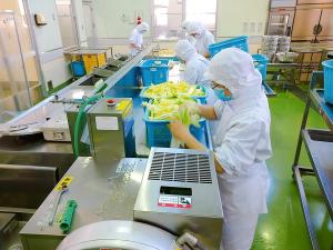 冬野菜をポトフにします