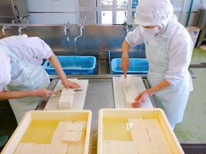 豆腐を切っています