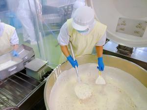 ヨーグルトあえを配食しています