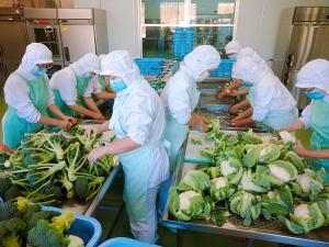 ブロッコリーとカリフラワー