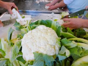 立派なカリフラワー