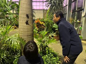 12月５日クリスマス　夜の熱帯植物園2