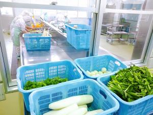 すずな(かぶ)やすずしろ(だいこん)なとを入れて煮こみうどんを作ります