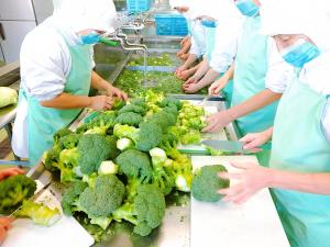 安中産のブロッコリーをたくさん使います