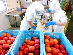 りんごを切っています