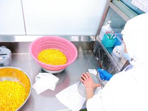 コーンの缶詰をあけています