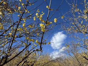 新井ろうばい園