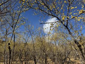 新井ろうばい園2