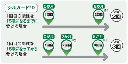 一般的な接種スケジュール