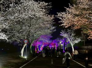 ４月4日スポーツ健康フェアSAKURA  STREE6