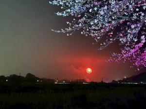 ４月4日スポーツ健康フェアSAKURA  STREE6