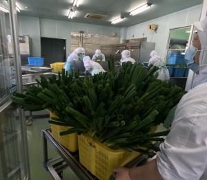 ねぎが納品される