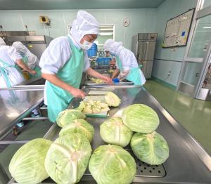 キャベツを切る