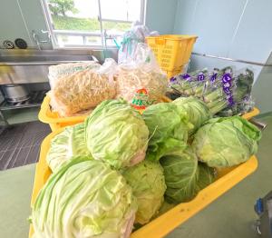 春キャベツ