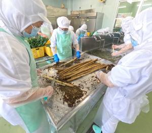 ごぼうのかわをむく