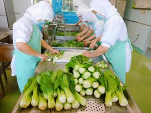 群馬県産のチンゲン菜を切っています